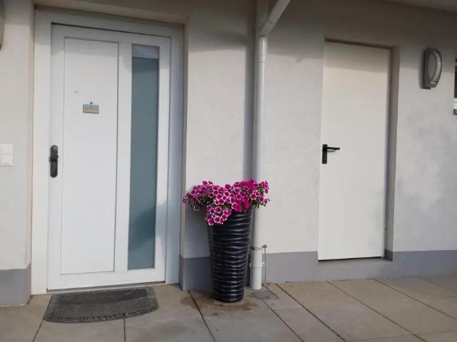 Zu Verkaufen Wohnung Vösendorf Vösendorf DS105197671