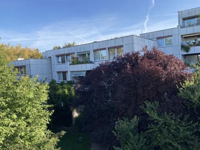 Zu Verkaufen Wohnung Wolkersdorf Im Weinviertel Wolkersdorf Im Weinviertel DS105377119