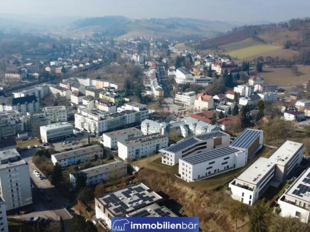 Zu Verkaufen Wohnung Bad Schallerbach Bad Schallerbach DS105627013