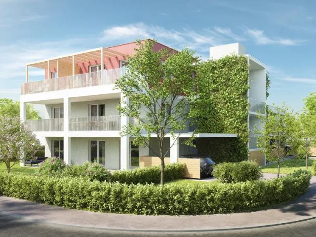 Zu Verkaufen Wohnung Bad Radkersburg Bad Radkersburg DS105508842