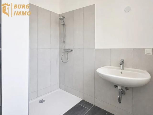 Zu Verkaufen Wohnung Bad Vöslau Bad Vöslau DS105307992