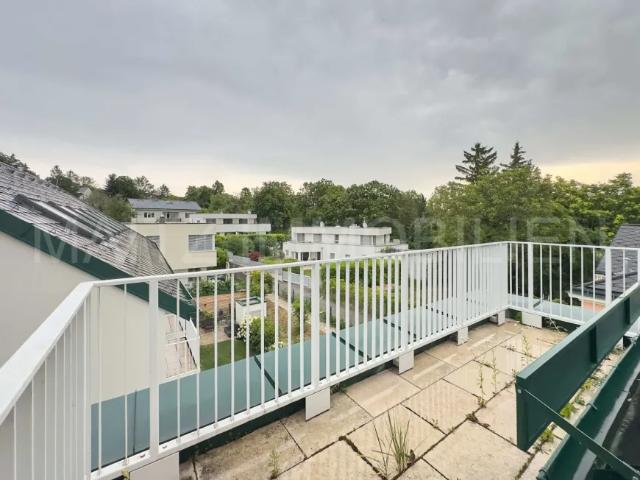 Zu Verkaufen Wohnung Gainfarn Gainfarn DS103697446
