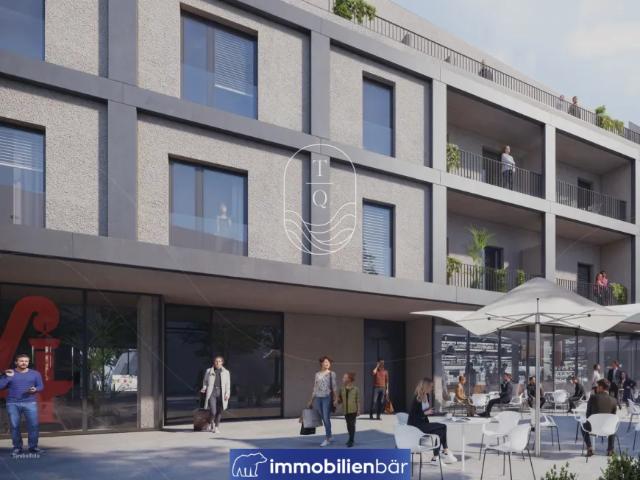 Zu Verkaufen Wohnung Grieskirchen Grieskirchen DS105485488