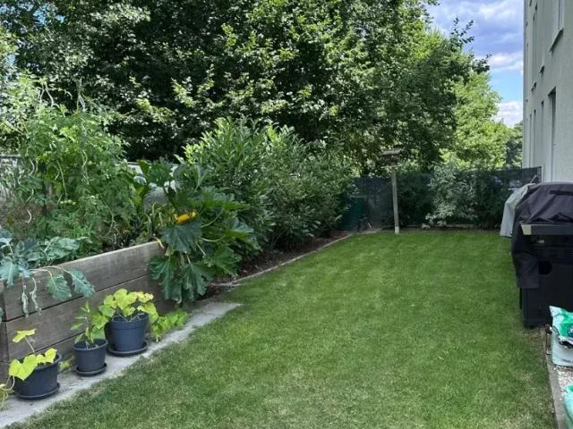 Zu Verkaufen Wohnung Grieskirchen Grieskirchen DS105995456