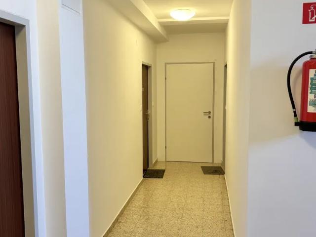 Zu Verkaufen Wohnung Güssing Güssing DS105184707