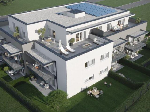 Zu Verkaufen Wohnung Haag Haag DS105508549