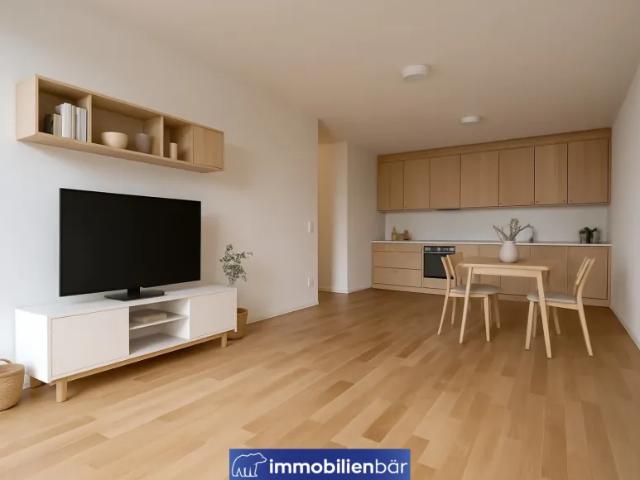 Zu Verkaufen Wohnung Liezen Liezen DS105485536