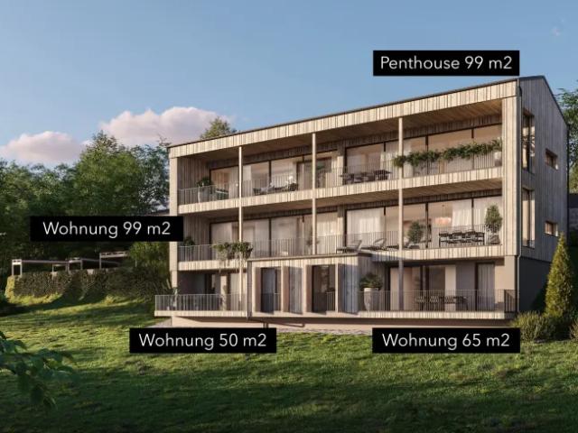 Zu Verkaufen Wohnung Millstatt Am See Millstatt Am See DS103124315