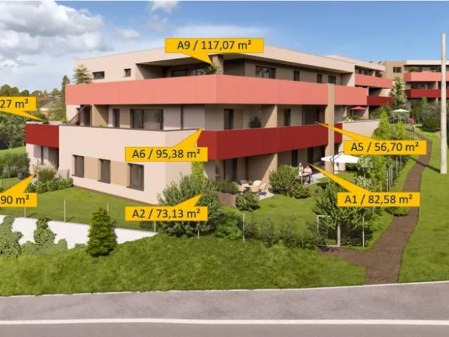 Zu Verkaufen Wohnung Peuerbach Peuerbach DS105428554