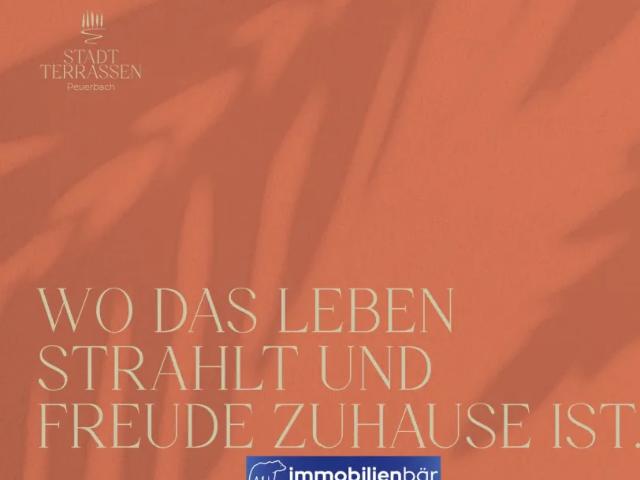 Zu Verkaufen Wohnung Peuerbach Peuerbach DS105485399