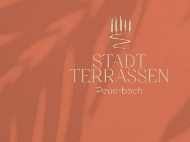 Zu Verkaufen Wohnung Peuerbach Peuerbach DS105485392