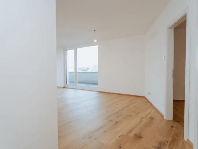 Zu Verkaufen Wohnung Podersdorf Am See Podersdorf Am See DS103567732
