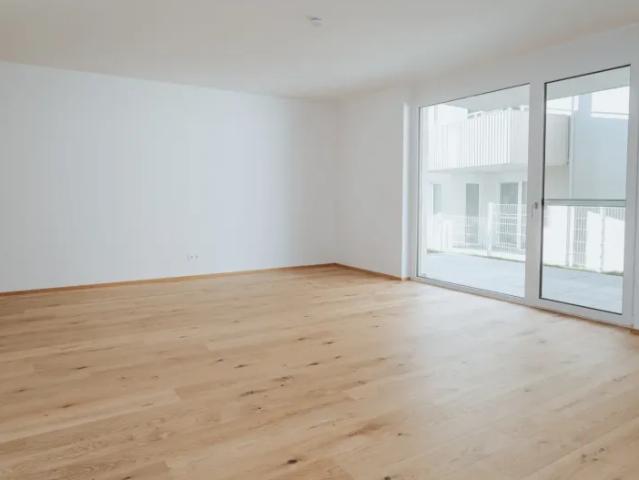 Zu Verkaufen Wohnung Podersdorf Am See Podersdorf Am See DS103567738