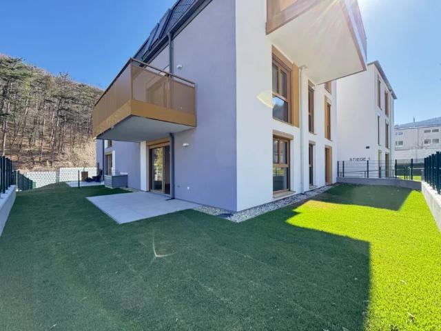 Zu Verkaufen Wohnung Purkersdorf Purkersdorf DS103150539