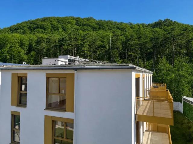 Zu Verkaufen Wohnung Purkersdorf Purkersdorf DS104537984