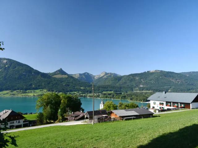 Zu Verkaufen Wohnung Sankt Wolfgang Im Salzkammergut Oberösterreich DS105362222