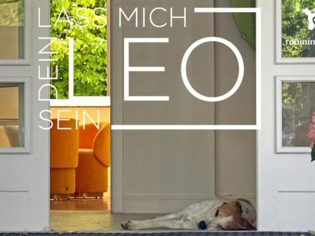 Zu Vermieten 3 Schlafzimmer Wohnung Vorarlberg Vorarlberg DS104537614
