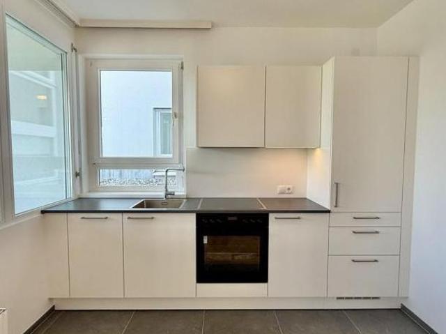 Zu Vermieten 3 Schlafzimmer Wohnung Vorarlberg Vorarlberg DS105038108
