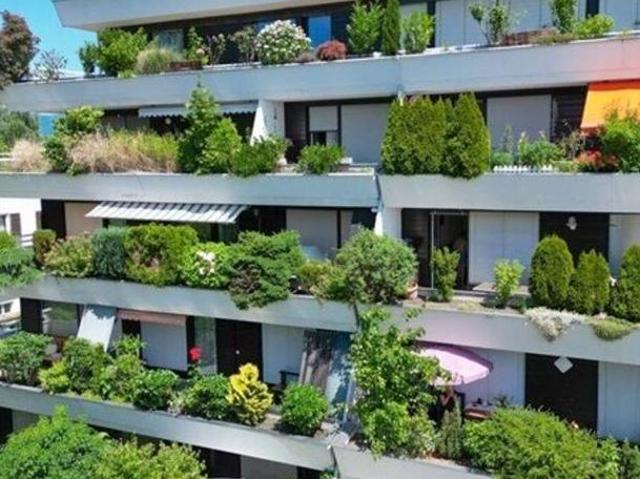 Zu Vermieten 3 Schlafzimmer Wohnung Vorarlberg Vorarlberg DS105397585