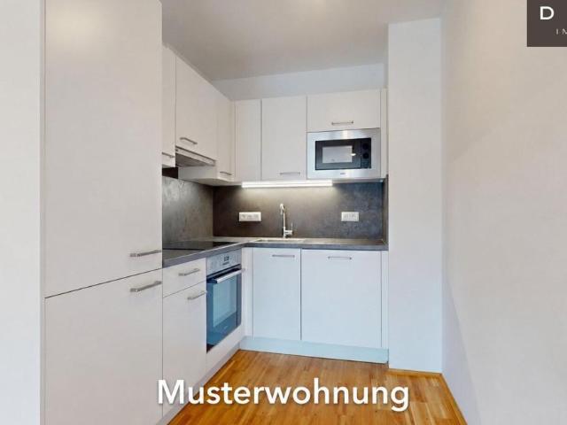Zu Vermieten 3 Schlafzimmer Wohnung Wien Wien DS105545124