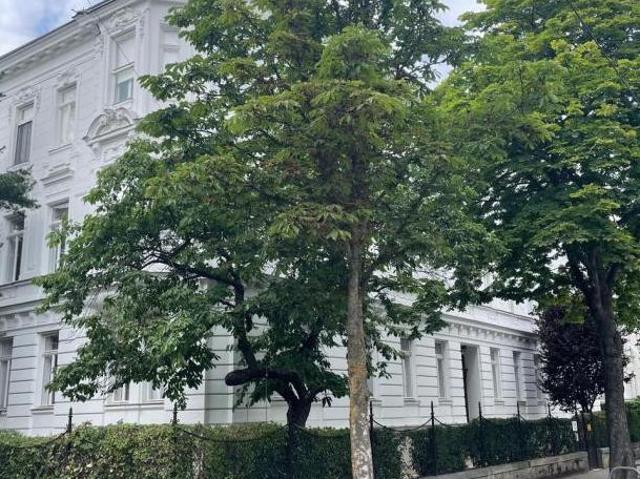 Zu Vermieten 3 Schlafzimmer Wohnung Wien Wien DS105346807