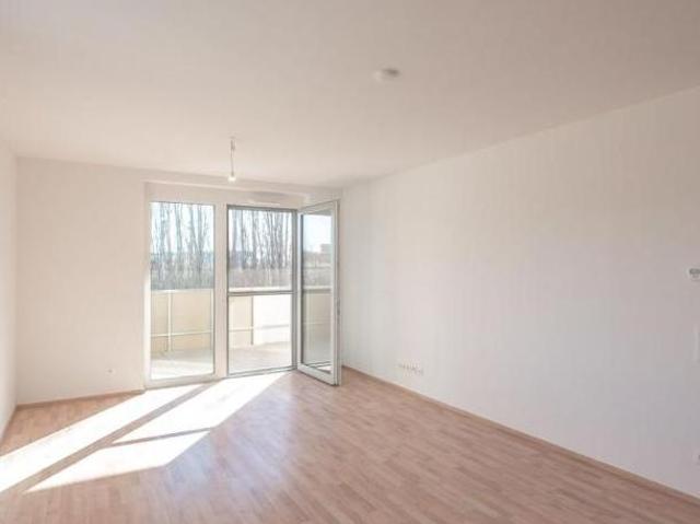 Zu Vermieten 3 Schlafzimmer Wohnung Burgenland Burgenland DS105528937