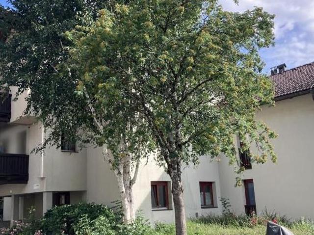 Zu Vermieten 3 Schlafzimmer Wohnung Kärnten Kärnten DS104641917