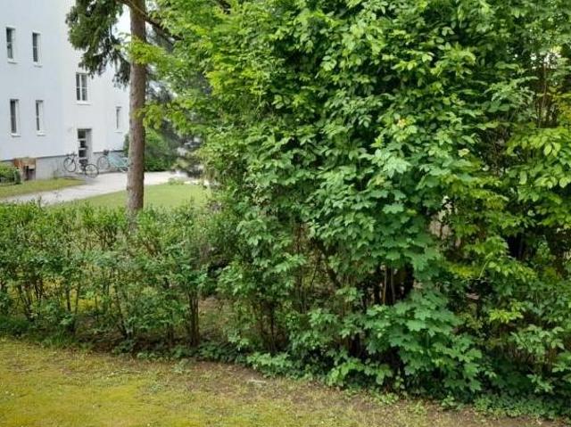Zu Vermieten 3 Schlafzimmer Wohnung Niederösterreich Niederösterreich DS103570863