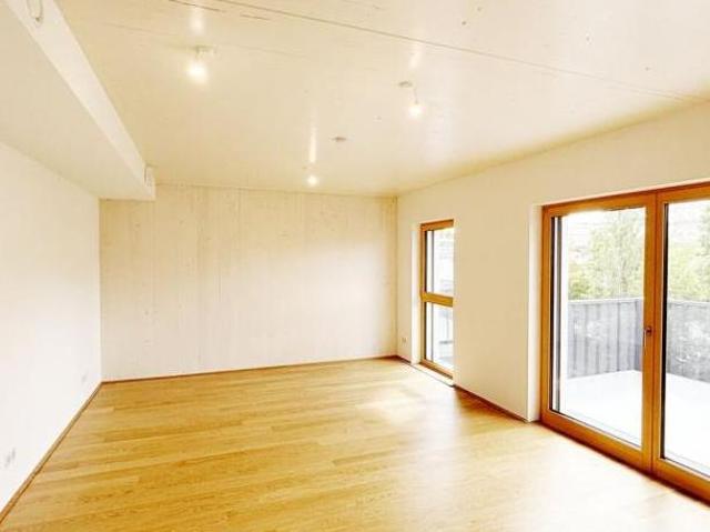 Zu Vermieten 3 Schlafzimmer Wohnung Niederösterreich Niederösterreich DS104755407