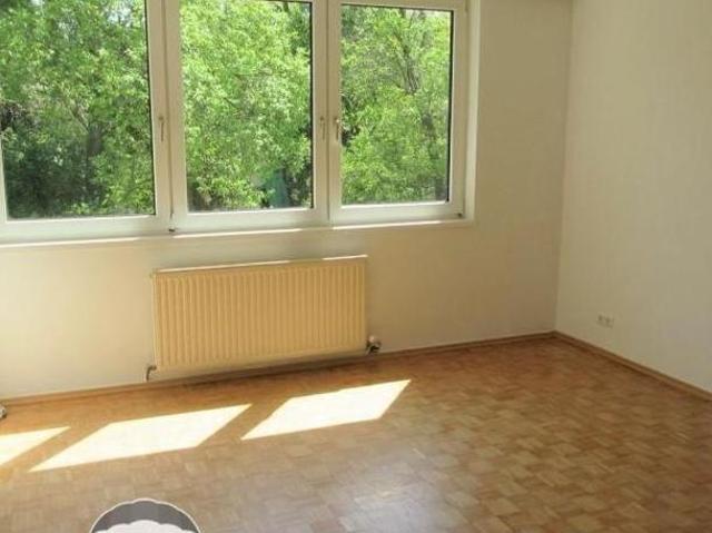 Zu Vermieten 3 Schlafzimmer Wohnung Niederösterreich Niederösterreich DS104915444