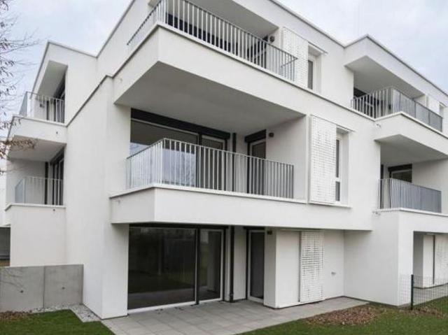 Zu Vermieten 3 Schlafzimmer Wohnung Niederösterreich Niederösterreich DS104366625