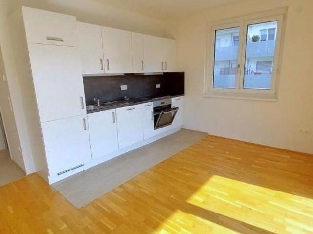 Zu Vermieten 3 Schlafzimmer Wohnung Niederösterreich Niederösterreich DS105862891