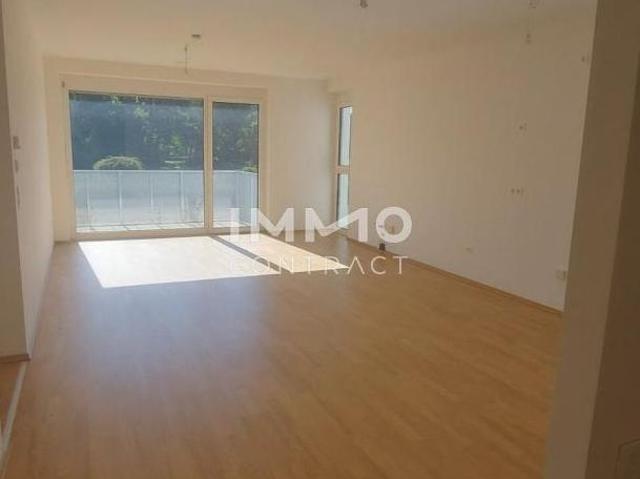 Zu Vermieten 3 Schlafzimmer Wohnung Niederösterreich Niederösterreich DS105880573