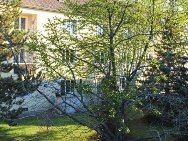 Zu Vermieten 3 Schlafzimmer Wohnung Niederösterreich Niederösterreich DS105993998