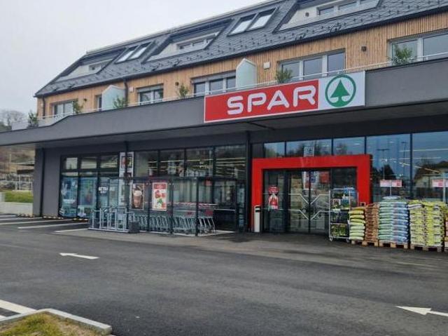 Zu Vermieten 3 Schlafzimmer Wohnung Niederösterreich Niederösterreich DS105056893