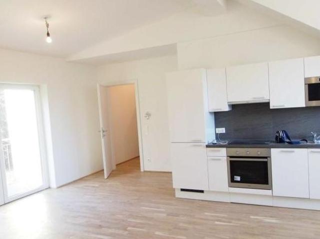 Zu Vermieten 3 Schlafzimmer Wohnung Niederösterreich Niederösterreich DS105056250