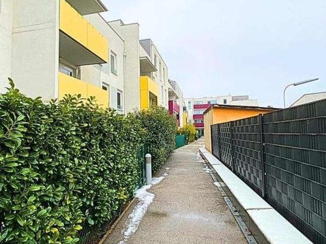 Zu Vermieten 3 Schlafzimmer Wohnung Niederösterreich Niederösterreich DS105111712