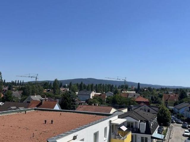 Zu Vermieten 3 Schlafzimmer Wohnung Niederösterreich Niederösterreich DS105200115
