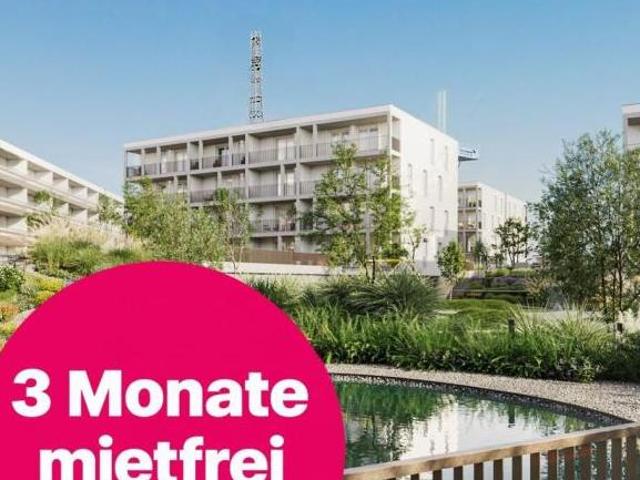 Zu Vermieten 3 Schlafzimmer Wohnung Niederösterreich Niederösterreich DS106151403