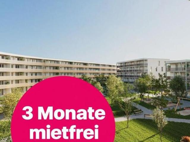Zu Vermieten 3 Schlafzimmer Wohnung Niederösterreich Niederösterreich DS106151578