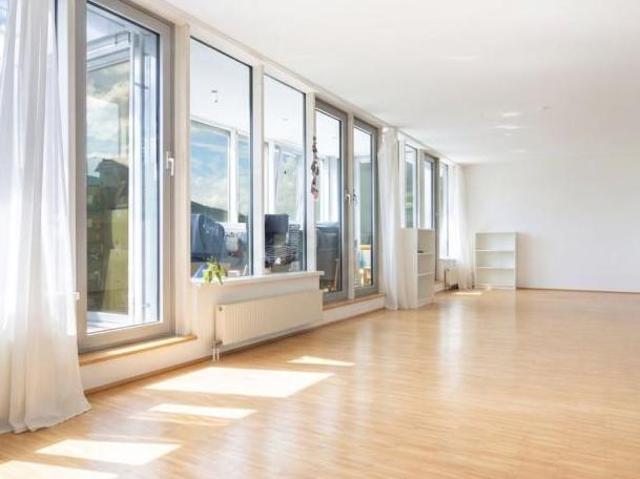 Zu Vermieten 3 Schlafzimmer Wohnung Oberösterreich Oberösterreich DLS105583673