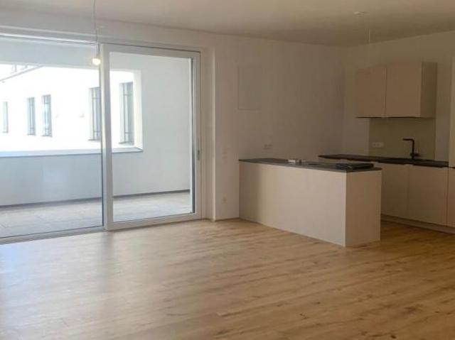 Zu Vermieten 3 Schlafzimmer Wohnung Oberösterreich Oberösterreich DS103658745