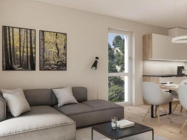 Zu Vermieten 3 Schlafzimmer Wohnung Oberösterreich Oberösterreich DS104005188