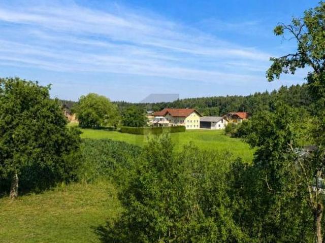 Zu Vermieten 3 Schlafzimmer Wohnung Oberösterreich Oberösterreich DS104600517
