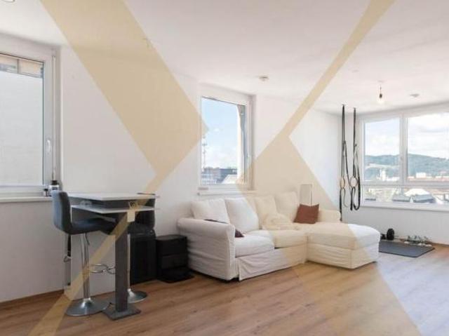 Zu Vermieten 3 Schlafzimmer Wohnung Oberösterreich Oberösterreich DS104890726