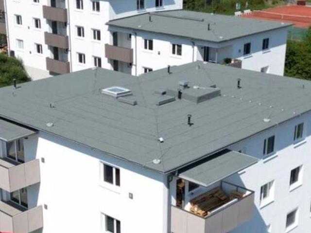 Zu Vermieten 3 Schlafzimmer Wohnung Oberösterreich Oberösterreich DS105050547