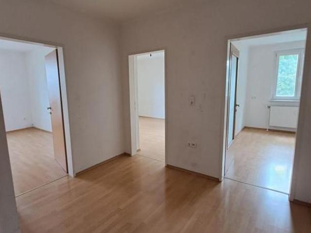 Zu Vermieten 3 Schlafzimmer Wohnung Oberösterreich Oberösterreich DS105054305