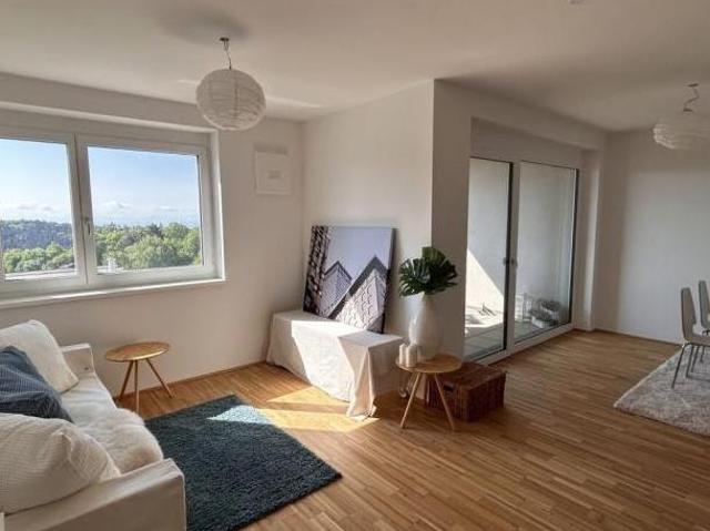 Zu Vermieten 3 Schlafzimmer Wohnung Oberösterreich Oberösterreich DS105056860