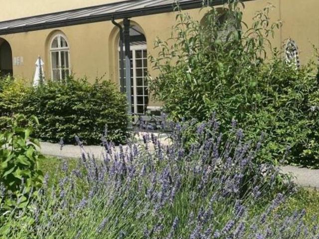 Zu Vermieten 3 Schlafzimmer Wohnung Oberösterreich Oberösterreich DS105075422