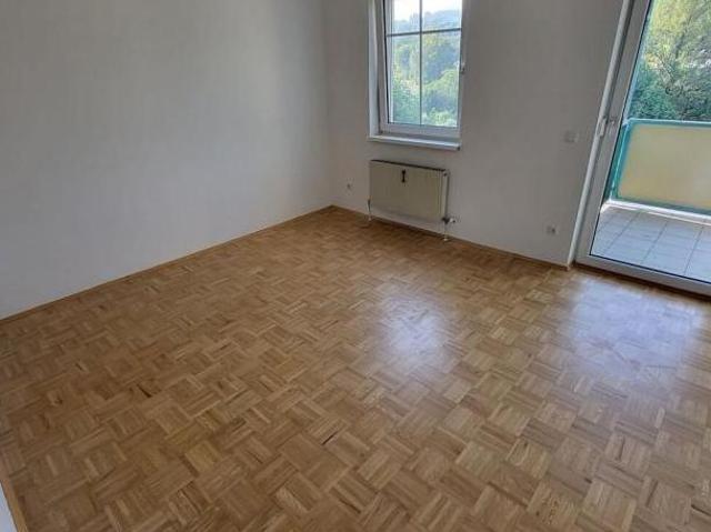 Zu Vermieten 3 Schlafzimmer Wohnung Oberösterreich Oberösterreich DS105035885